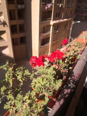 كمبوند سما القاهرة
